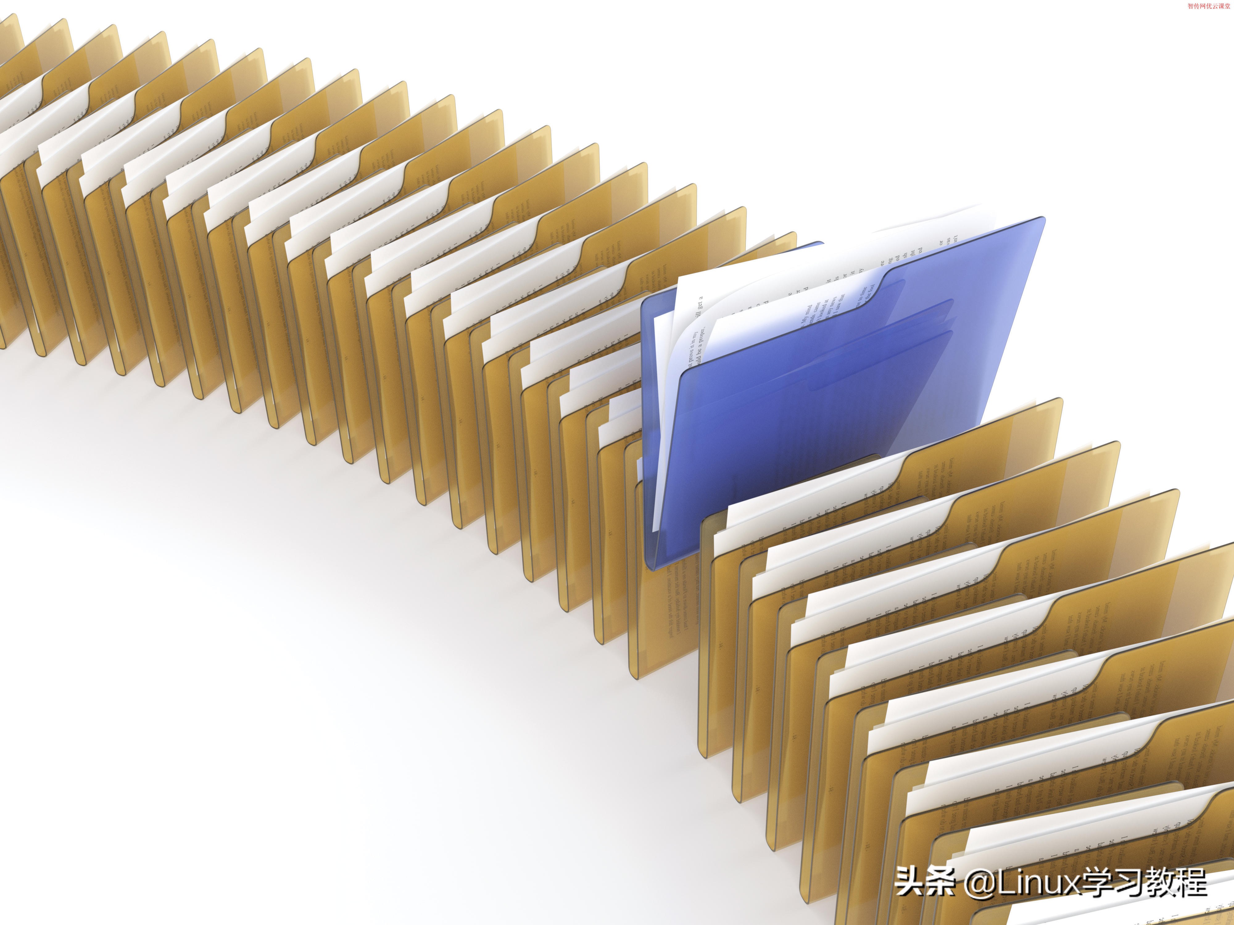 Linux中15个基本的ls命令使用案例