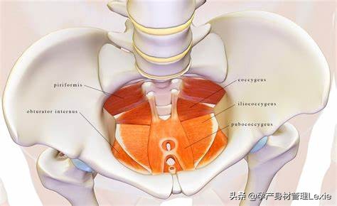 产后要重视产妇的身体恢复,产后修复需要重视起来