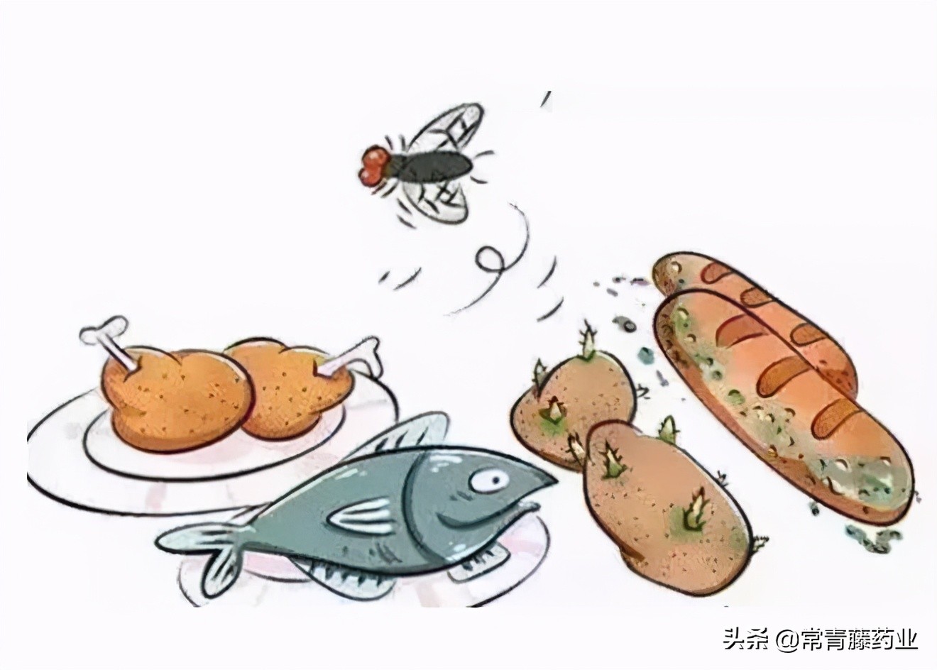 健康科普夏日易腹泻缓解有妙招,为什么一到秋季容易腹泻