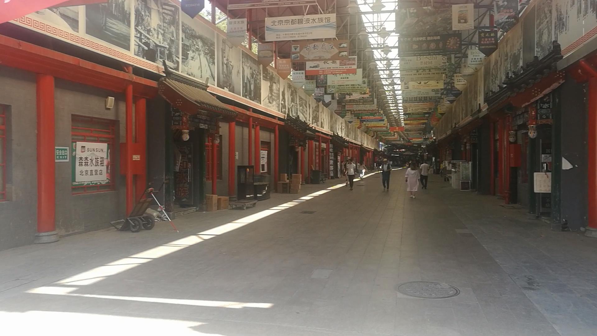 北京十里河鱼市,都说它拆了,我却看到了综合性的水族市场