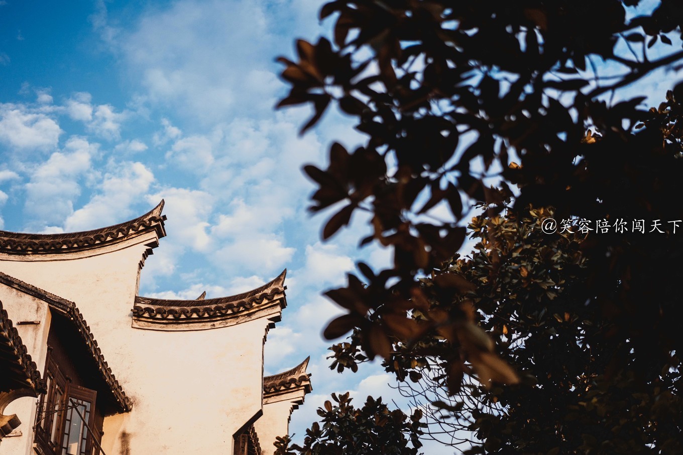 江南小众古镇视频,江南水乡小众又出名