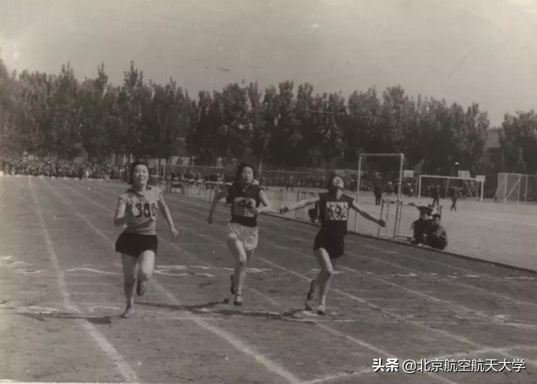 美美美抖音号,美美美抖音账号