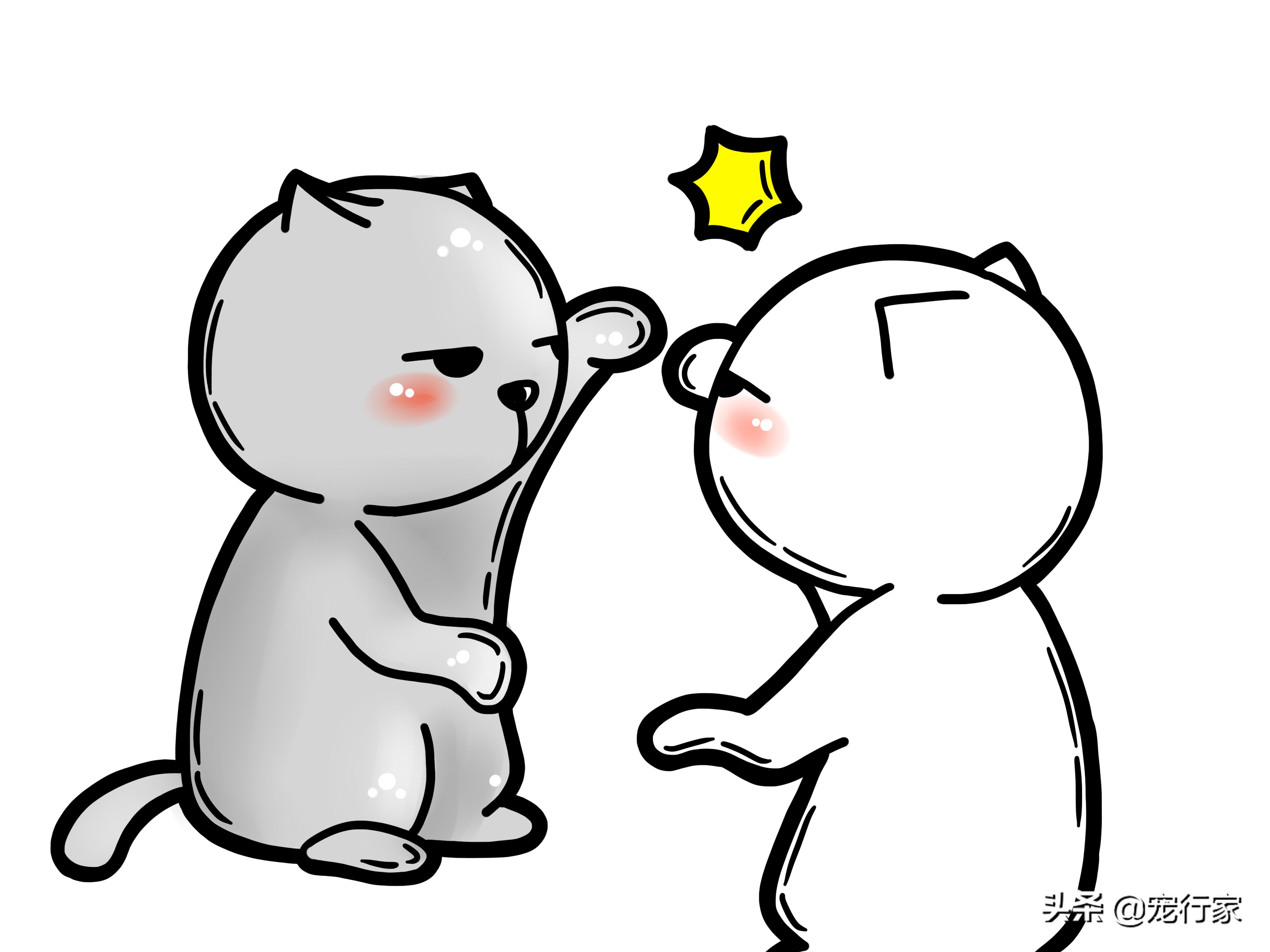 被猫咬伤发病几率高吗,猫被猫咬了是怎么回事