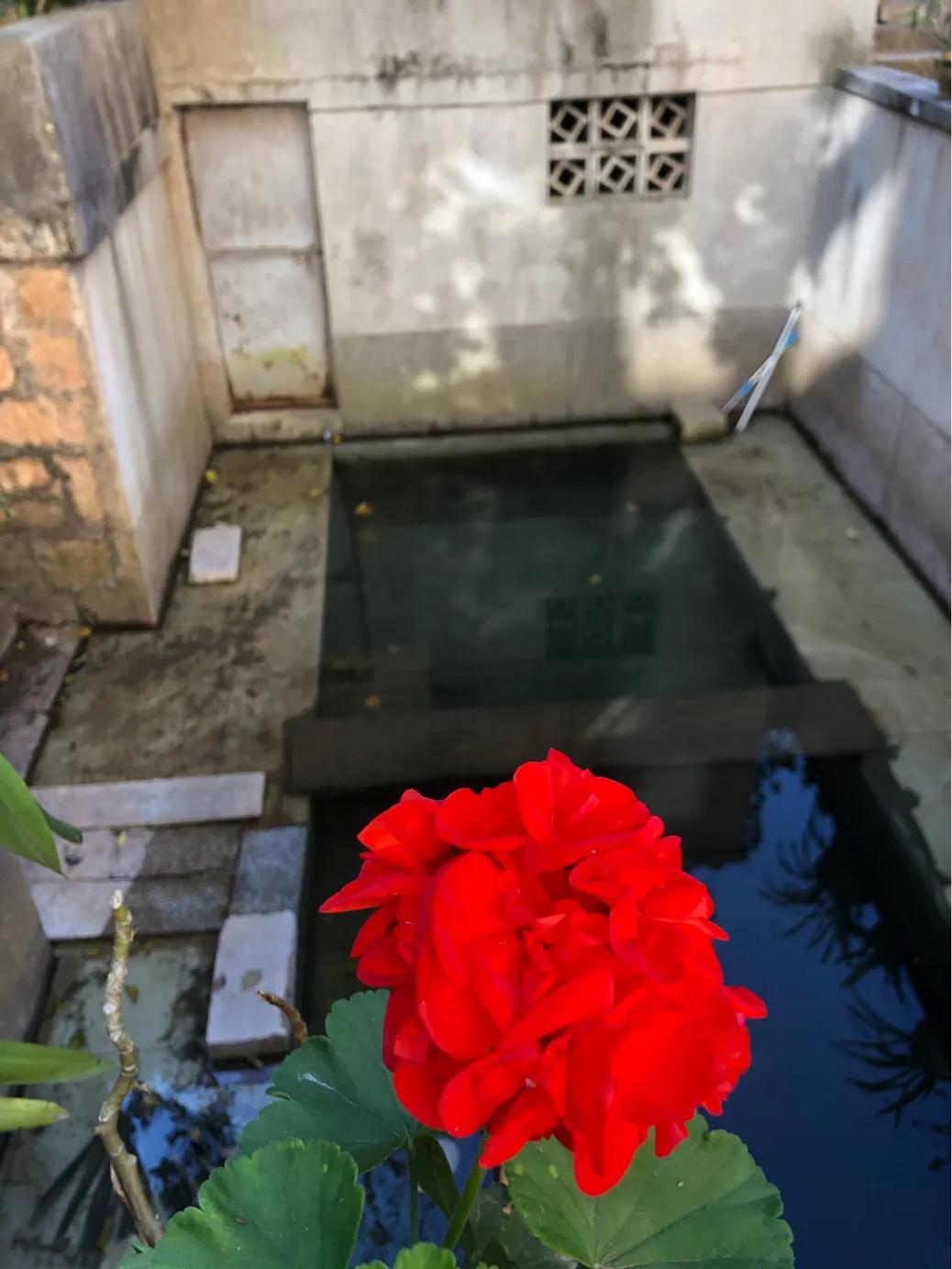 不应该消失京剧完整版,昆四中西山学校