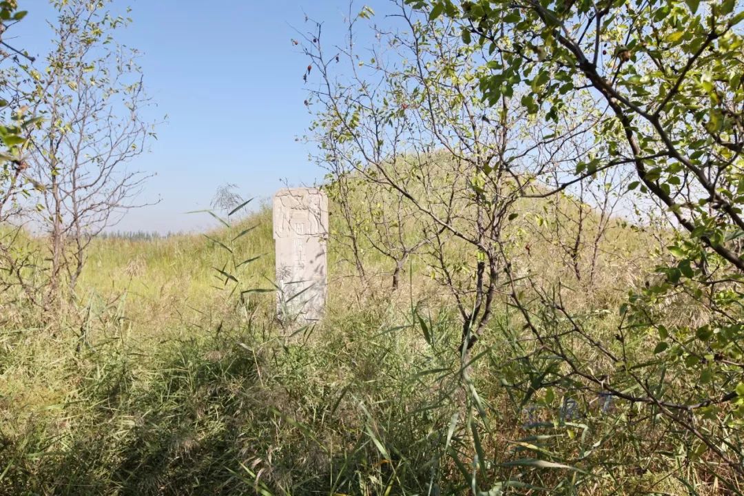 尹吉甫评价杨柳依依,昔我往矣杨柳依依许渊冲