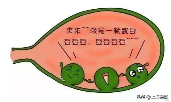 胆囊息肉6*5mm严重吗怎么治疗,杨医生讲医学视频全集