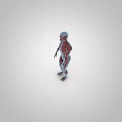 5个臀部动作练屁股,5个需要了解的臀部训练