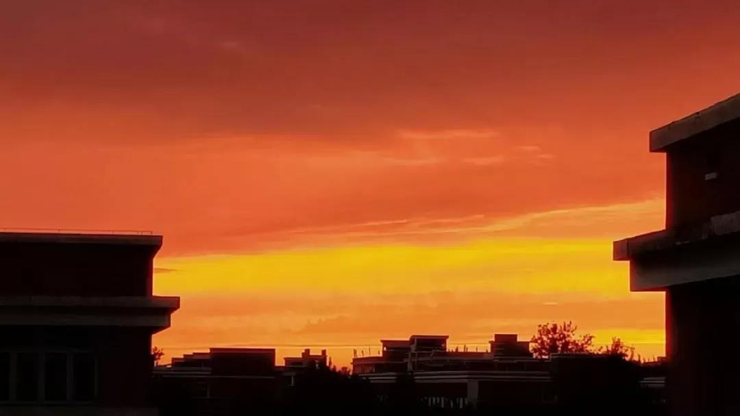 北京科技大学天津学院原独立学院,北京科技大学天津学院独立学院