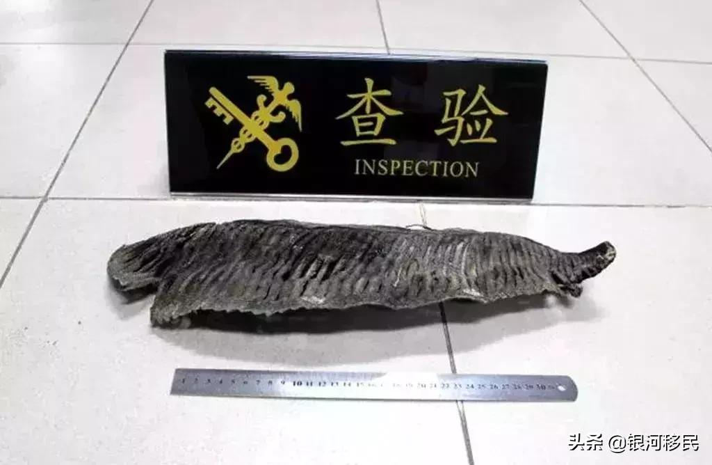 去香港要注意什么避免罚款,最新香港出入境禁带物品