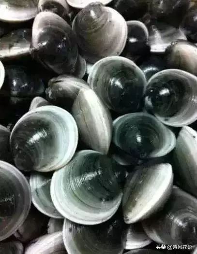 家乡印象海鲜,家乡味道舌尖上的美食