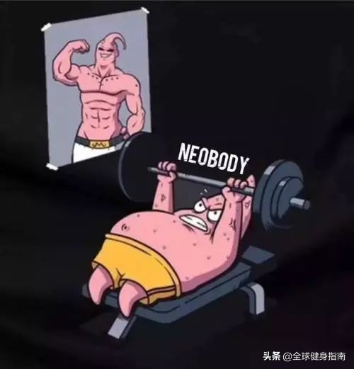 补剂的基本知识和方法,什么牌子的补剂最全面