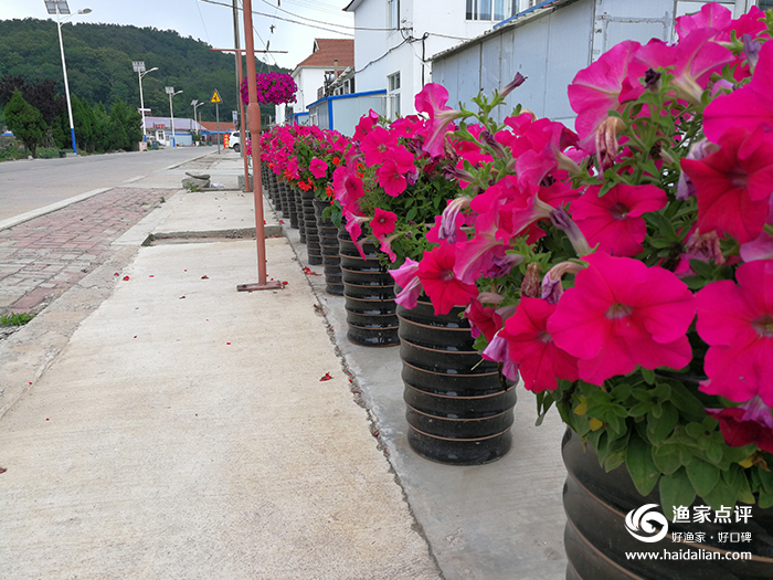 大连哈仙岛旅游攻略方案3天2夜,哈仙岛旅游几月份去最好