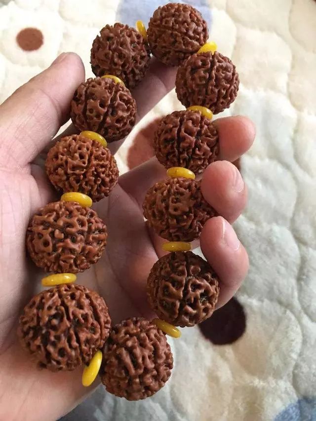 金刚菩提尼泊尔印尼区别,尼泊尔小金刚菩提子怎样快速变红