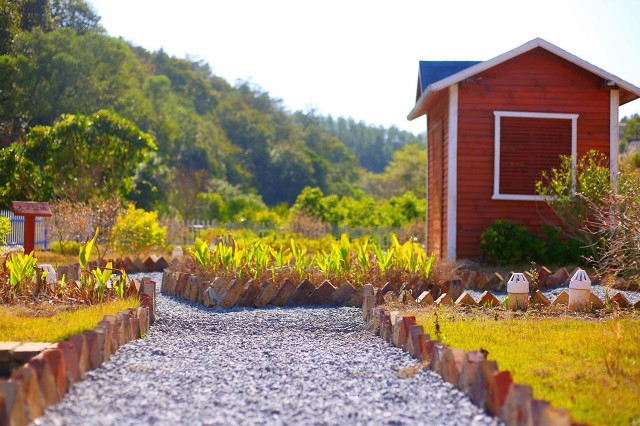 如何申办农业家庭农场,家庭农场怎么申请营业执照