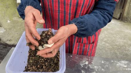 烧饼网红小摊,安徽歙县网红烧饼