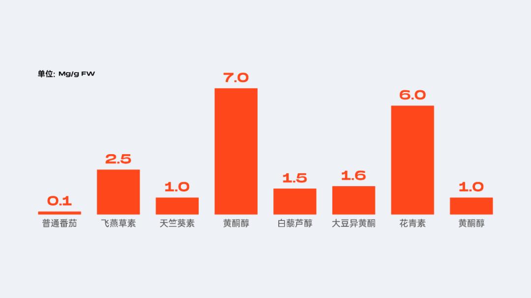 当西红柿遇上烦人的橙子,当番茄遇上西红柿视频
