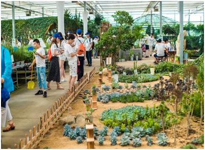 即墨太阳能小镇怎么样,即墨区昌盛日电太阳能