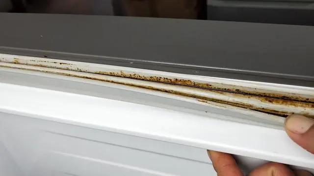 冰箱封条发霉变黑怎么清洗干净,冰箱封条发霉了用什么小妙招