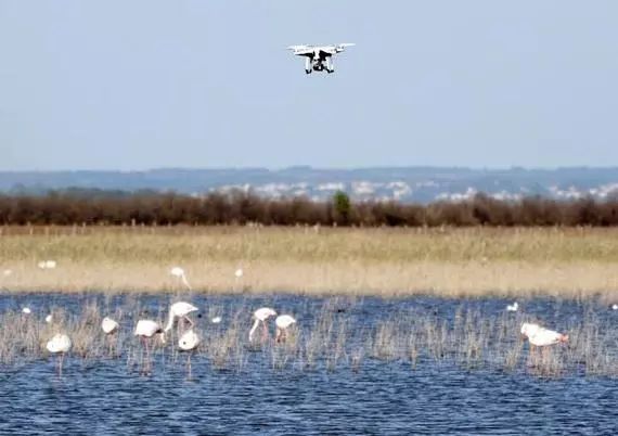 每个生命都值得被虐待,任何生命都不该被虐待