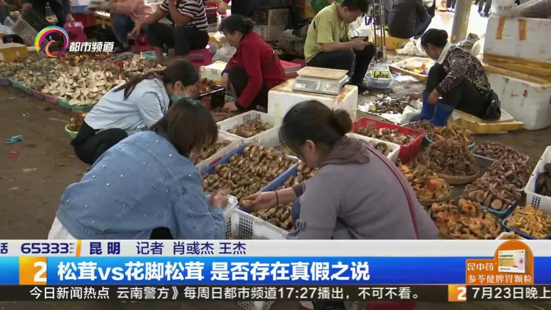 买到假虫草怎么检测,西藏买到假松茸