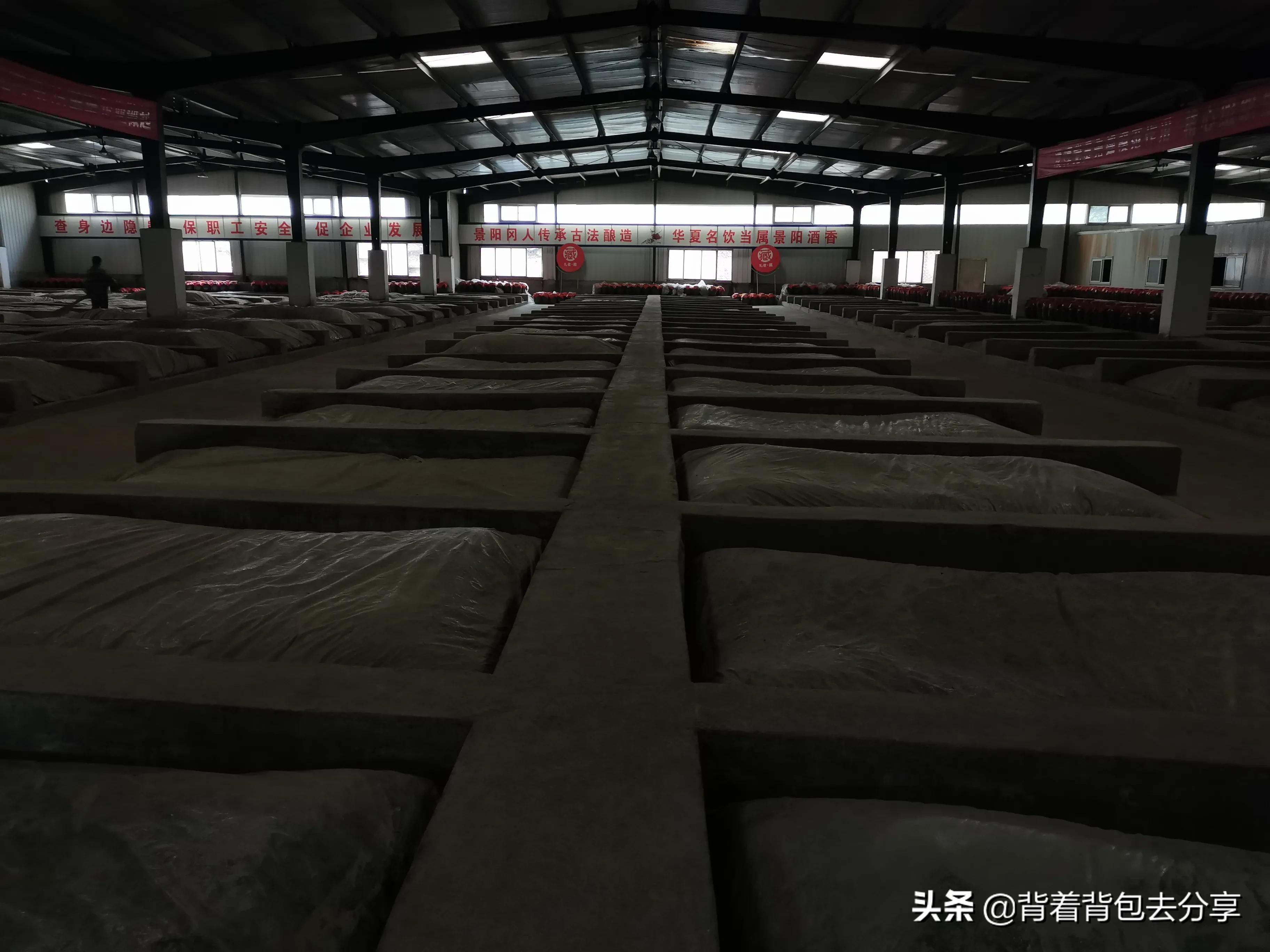 聊城阳谷旅游景点大全排名榜,阳谷县一日游景点