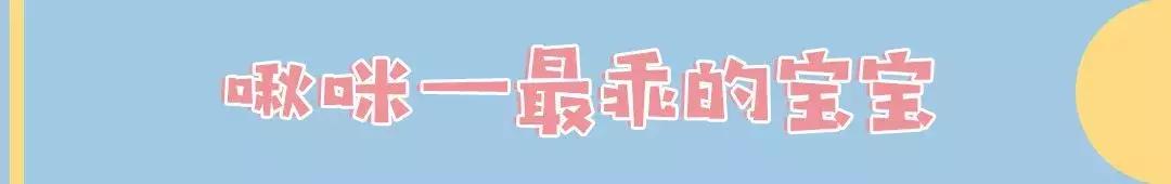 软萌暴击!邯郸这家高颜值猫咖上线,“吸猫”终于提上日程!