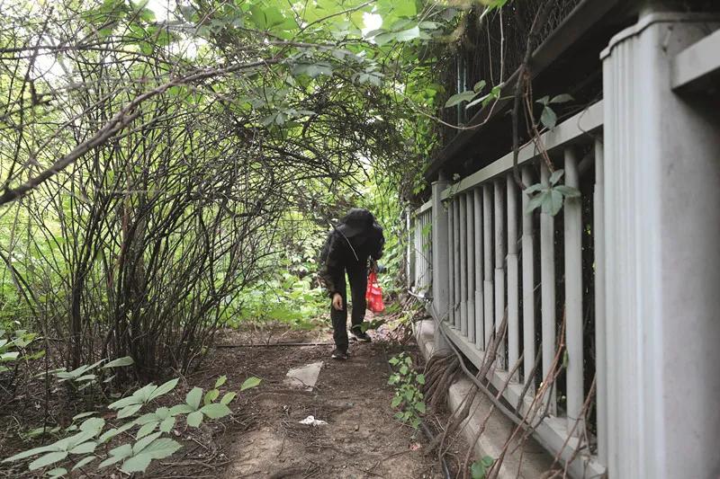 21岁女孩被蚊子叮咬,女生被蚊虫叮咬起大包