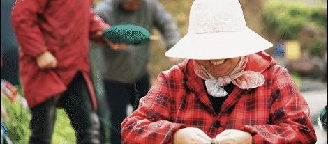 浙江景点花鸟岛,浙江风景花鸟岛