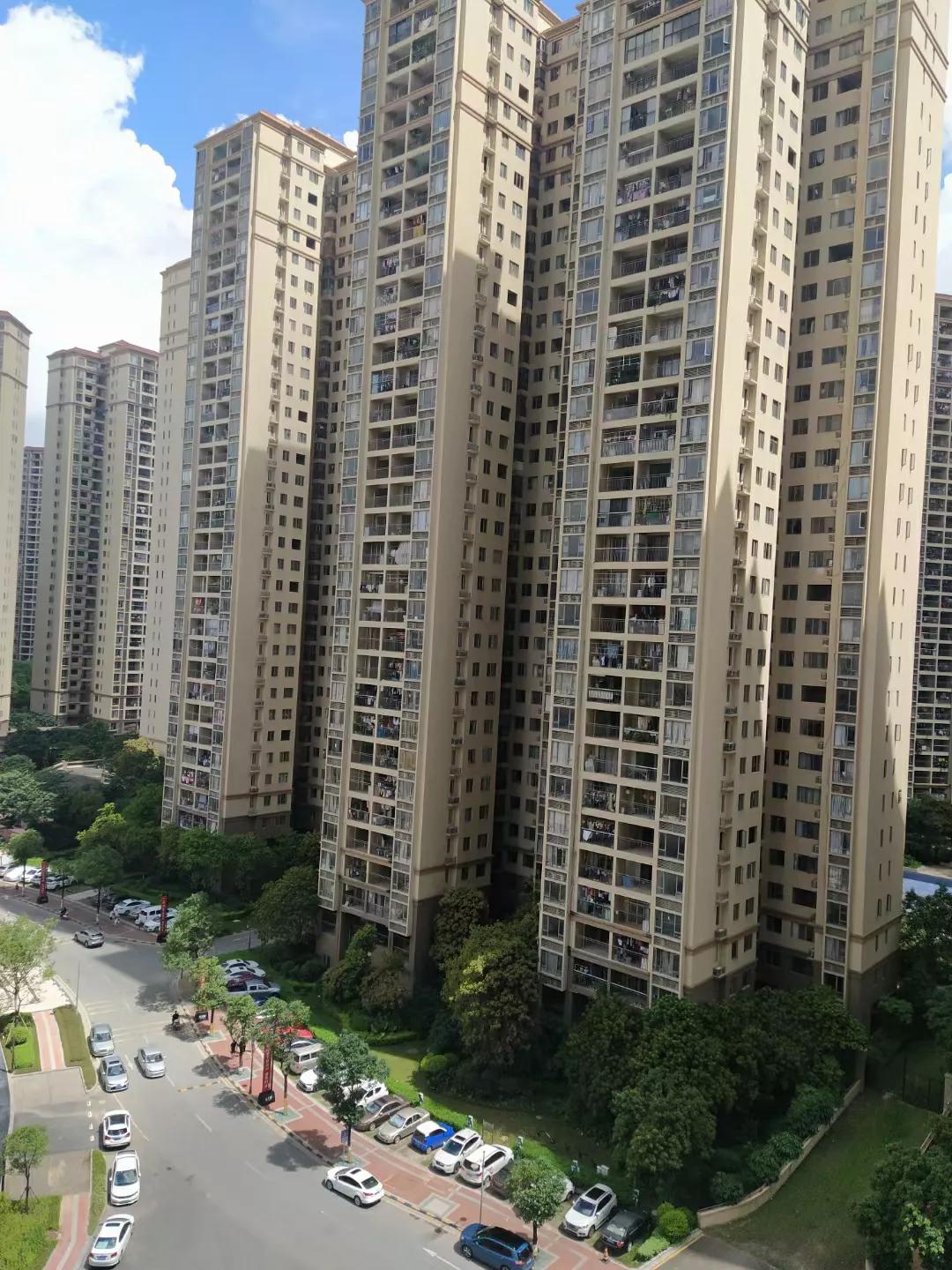 人在深圳全文免费阅读,深圳人在香港纪录片