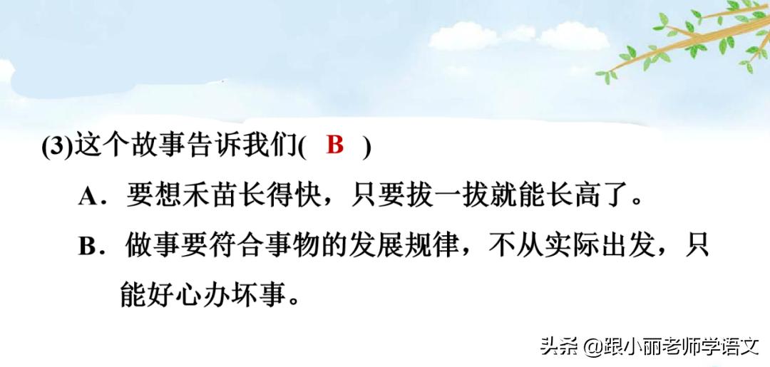 二年级我要的是葫芦的寓意是什么,二年级我要的是葫芦说明什么道理