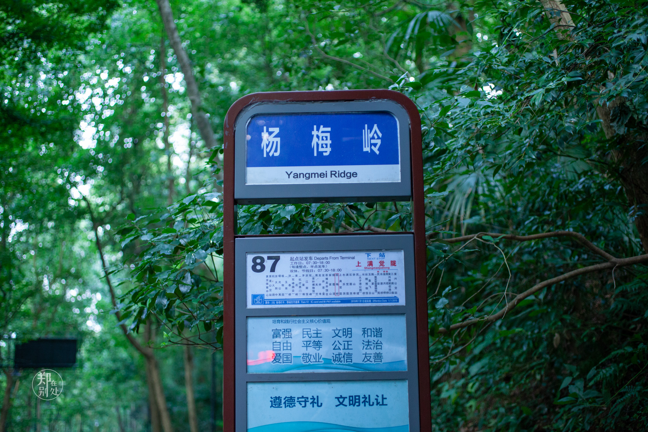 坐公交游杭州几路最好,杭州87路公交沿路风景