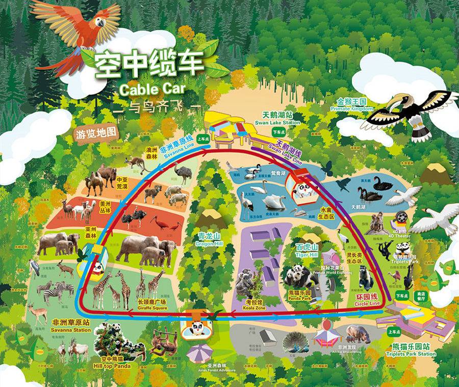 广州动物园对比下长隆野生动物园,广州长隆野生动物园必看项目介绍