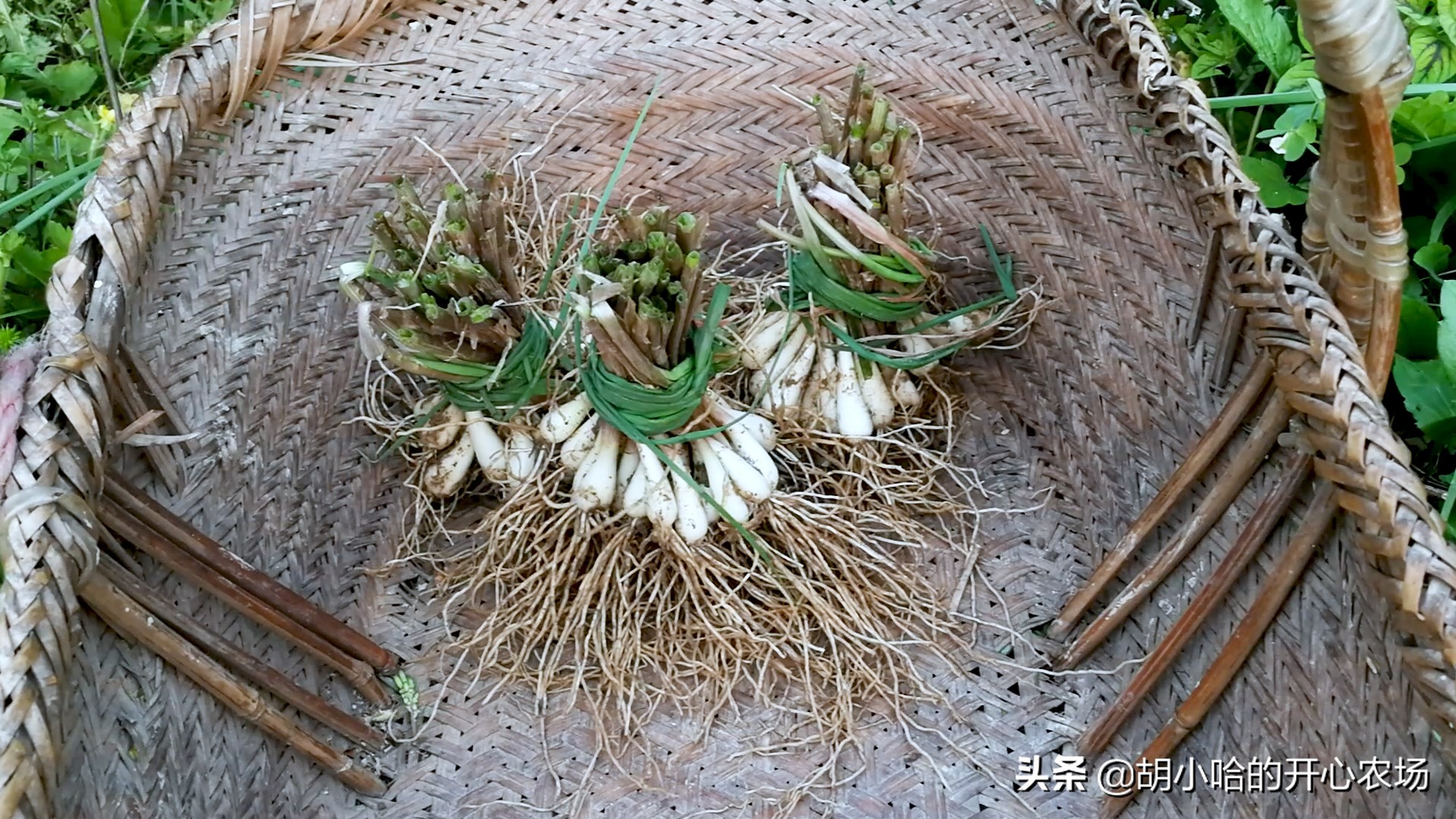 苏州超市员工脚踩冰箱里的食品,超市员工脚踩冻货视频