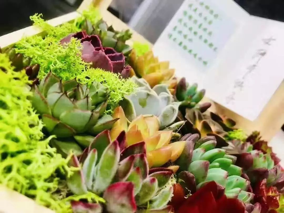 各司仙女节礼物大PK!阿里腾讯百度…谁家更戳你的心?