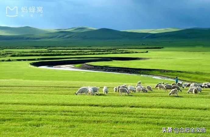 合肥特价国际机票攻略,12月份合肥飞哪里机票便宜