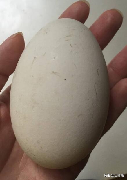 用土腌制鹅蛋的最佳方法,鹅蛋腌制有什么方法
