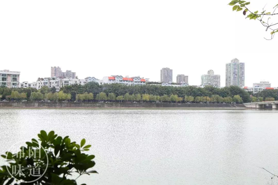 吃一只烤全羊,吃一只羊送一只羊