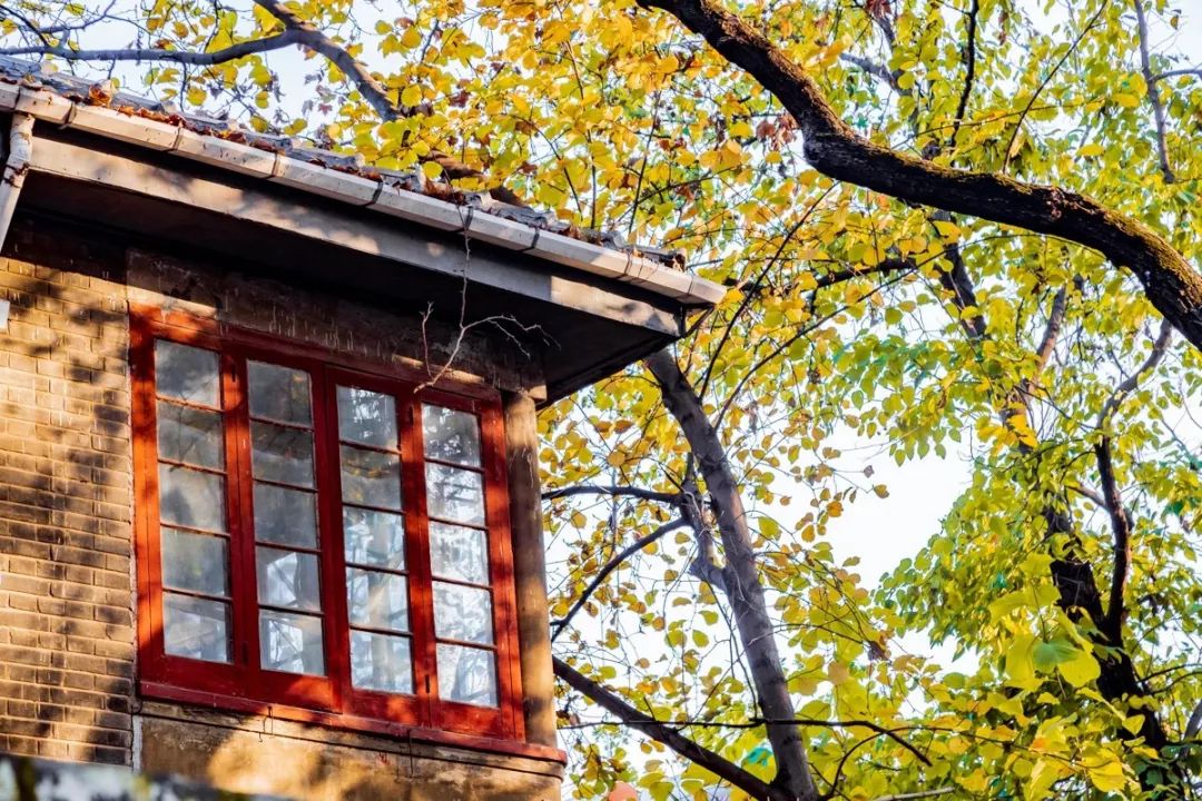 生活在南京的真实感受,南京适合生活嘛