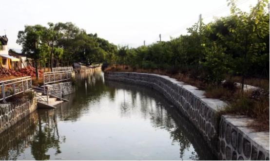 碧桂园助推乡村振兴奔向美好生活,碧桂园助力美丽乡村建设