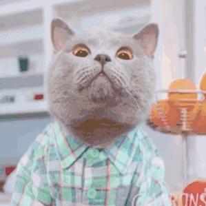 放假了，从香港带包腊肠回内地，都会被罚5千？！