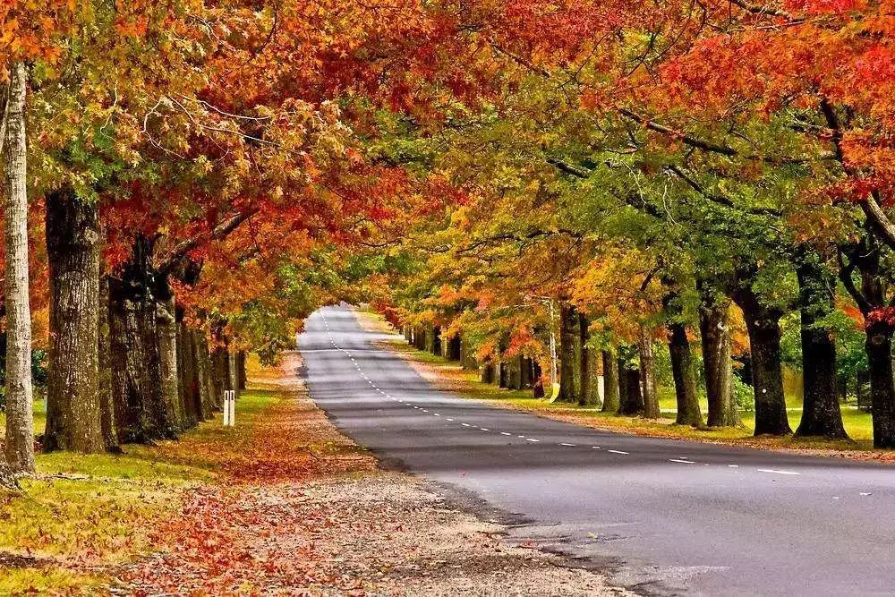澳大利亚打工签证要有多少存款,澳大利亚打工度假签证