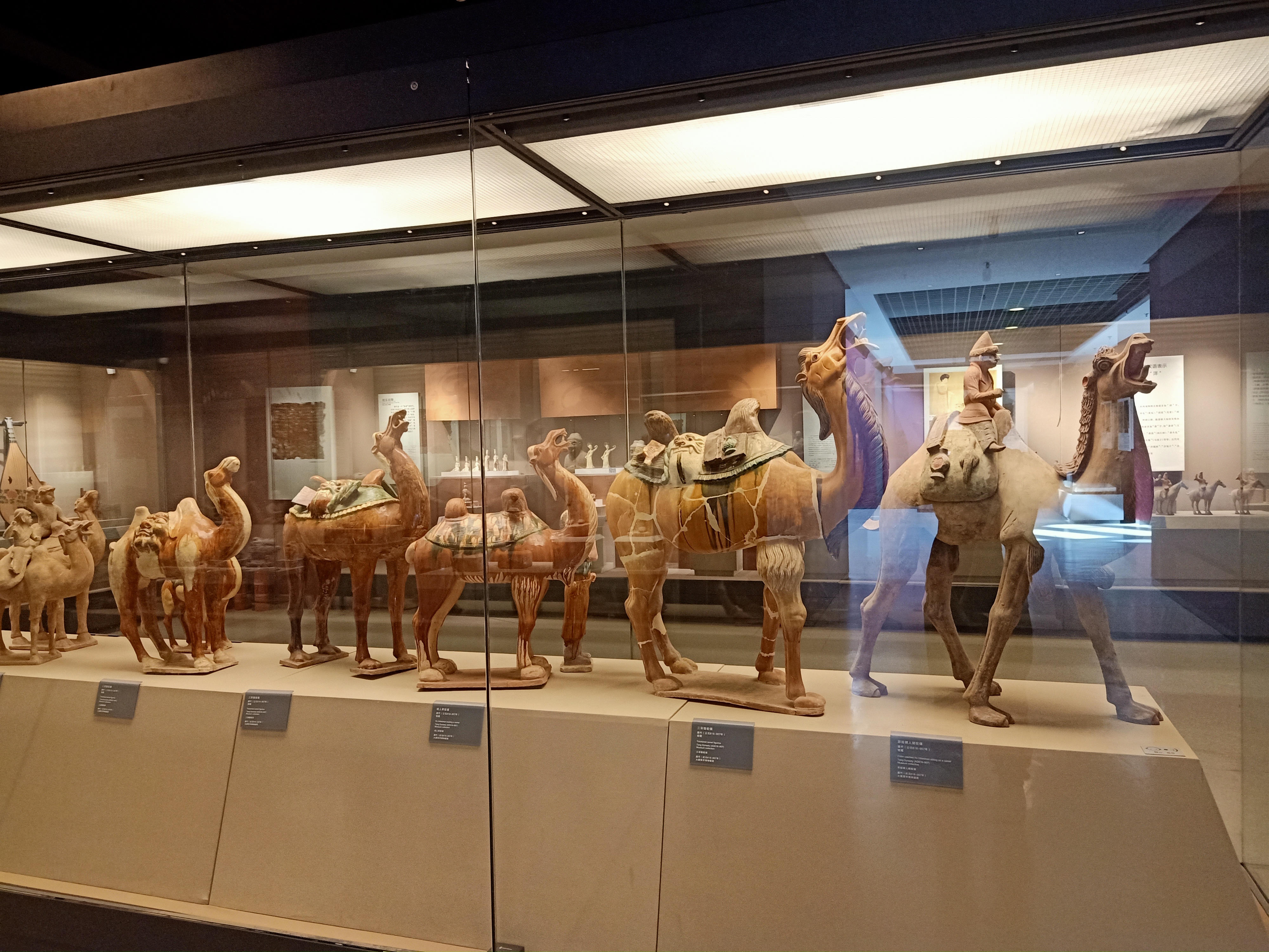 跟我到大唐西市，去看唐代长安城最繁华的商贸中心