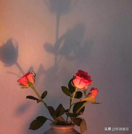 爸爸老公生日祝福语简短上档次,给老公50岁生日祝福语俏皮话