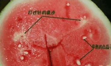 催熟剂有没有解药,催熟剂有害吗