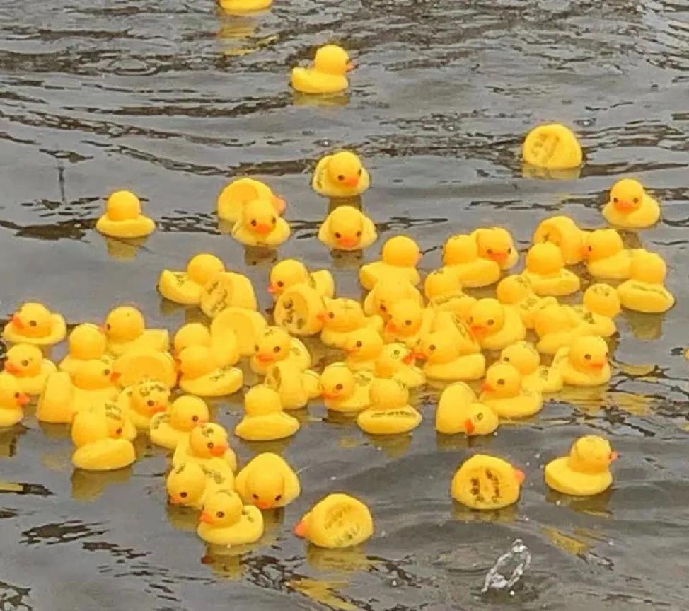 热高丛林欢乐世界园内地图,热高丛林欢乐世界优惠团购