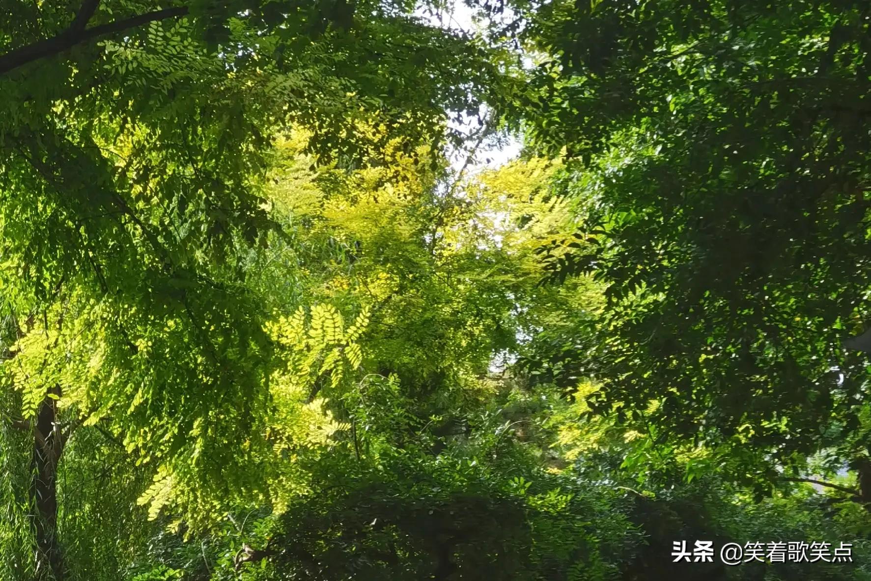 小小说丨出了事以后