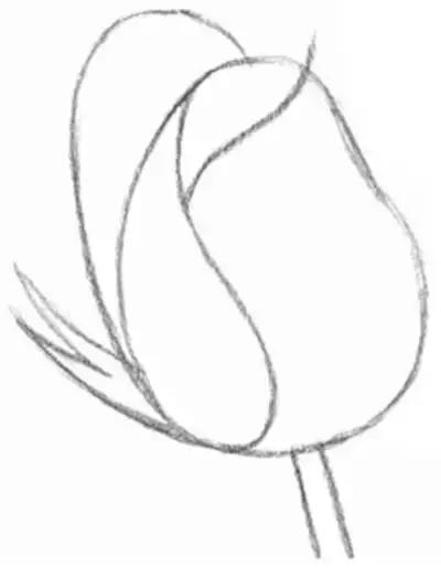 鐜懓绱犳弿鏁欑▼,绱犳弿鐜懓鐢绘硶鏁欑▼