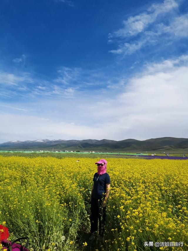 7月的青海湖自驾风景,青海湖大环线旅游攻略青海