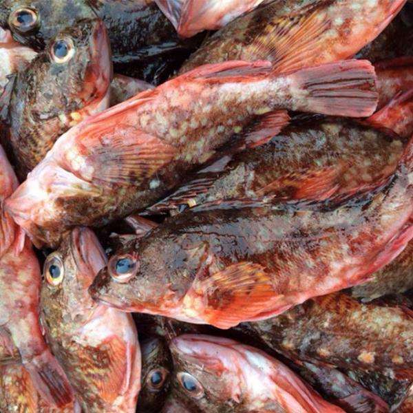 东海海鲜美食大全,家乡特色海鲜美食