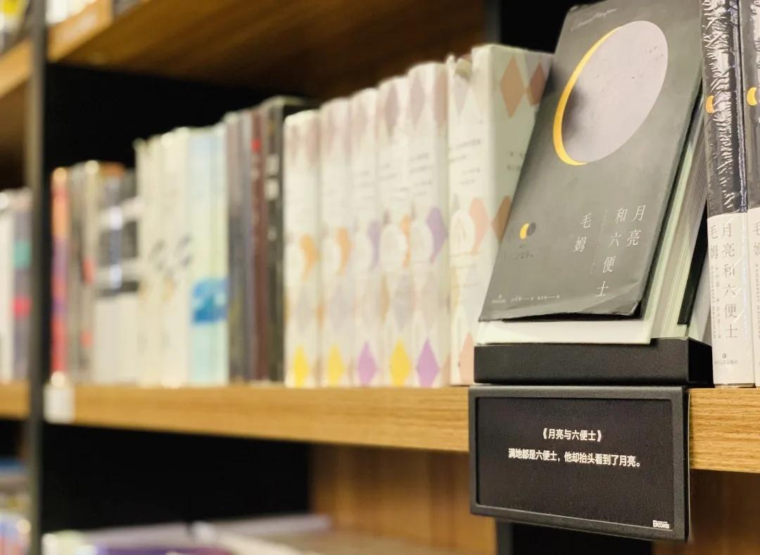 用阅读触摸成都|在成都不能错过的10家书店(下)